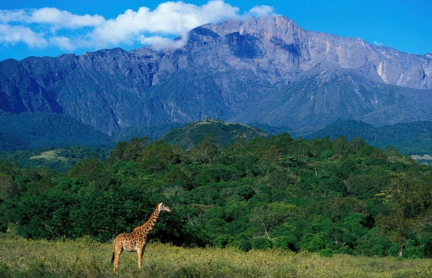 Mount Meru, Arusha Region, Tanzania